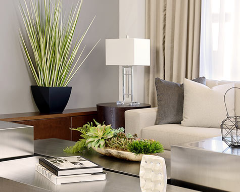 living room interior design with plants